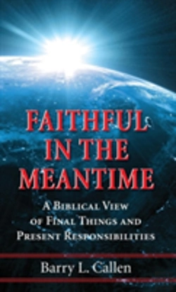 Bertrand.pt - Faithful In The Meantime