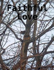 Faithful Love