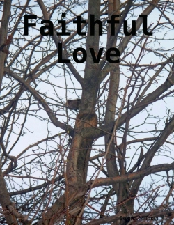 Bertrand.pt - Faithful Love