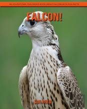 Falcon! An Educational Children'S Book About Falcon With Fun Facts
