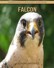 Falcon