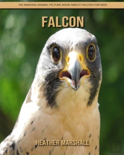 Bertrand.pt - Falcon