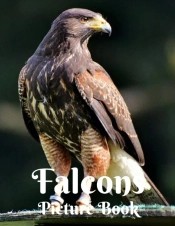 Falcon Picture Book