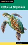 Falcon Pocket Guide: Reptiles & Amphibians