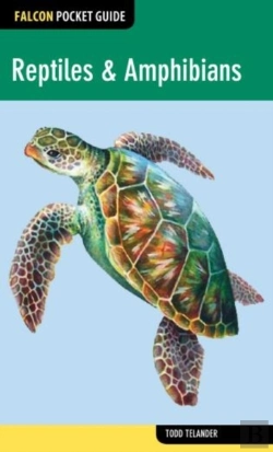 Bertrand.pt - Falcon Pocket Guide: Reptiles & Amphibians