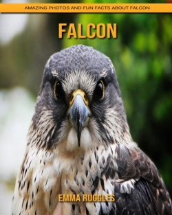 Bertrand.pt - Falcon