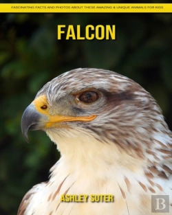 Bertrand.pt - Falcon