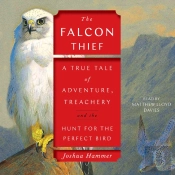 Falcon Thief