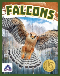 Bertrand.pt - Falcons