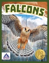 Falcons