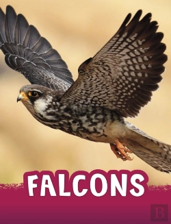 Bertrand.pt - Falcons