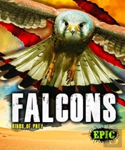 Falcons