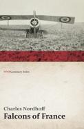 Falcons Of France