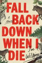Fall Back Down When I Die