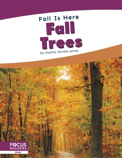 Bertrand.pt - Fall Trees