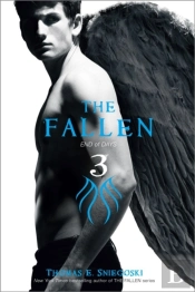 Fallen 3