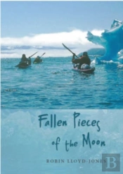 Fallen Pieces Of The Moon