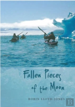 Bertrand.pt - Fallen Pieces Of The Moon