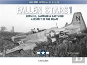 Fallen Stars 1