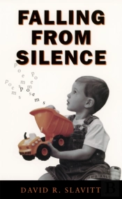 Falling From Silence