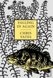 Falling In Again