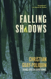 Falling Shadows