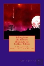 Falling Stars Like Fireflies: Illuminate