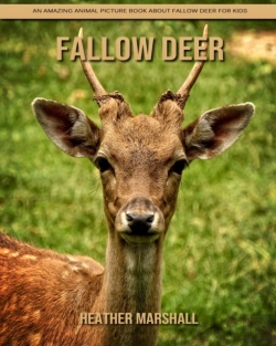 Bertrand.pt - Fallow Deer