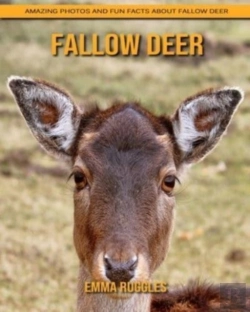 Bertrand.pt - Fallow Deer