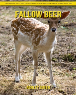 Bertrand.pt - Fallow Deer