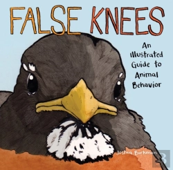 Bertrand.pt - False Knees