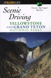 Family Fun In Yellowstone National Park