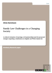 Family Law Challenges In A Changing Society