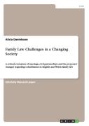 Family Law Challenges In A Changing Society