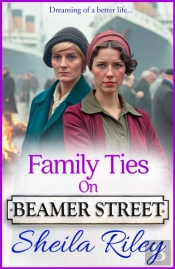 Family Ties On Beamer Street