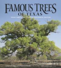 Famous Trees Of Texas