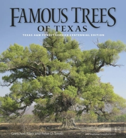 Bertrand.pt - Famous Trees Of Texas