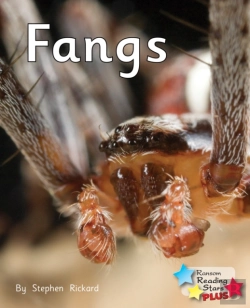 Bertrand.pt - Fangs