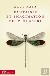 Fantaisie Et Imagination Chez Husserl