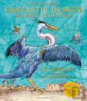 Fantastic Beasts And Where To Find Them