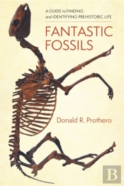 Fantastic Fossils