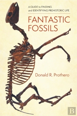 Bertrand.pt - Fantastic Fossils