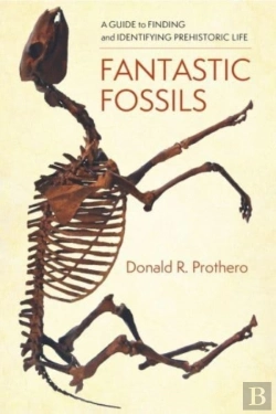 Bertrand.pt - Fantastic Fossils