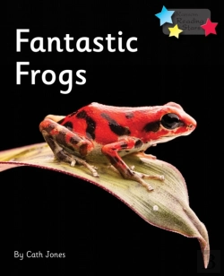 Bertrand.pt - Fantastic Frogs