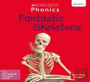 Fantastic Skeletons (Set 11)