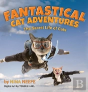 Fantastical Cat Adventures