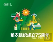 Fao At 75 (Chinese Edition)