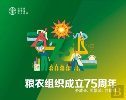 Bertrand.pt - Fao At 75 (Chinese Edition)