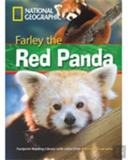 Bertrand.pt - Farley The Red Panda