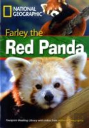 Farley The Red Panda